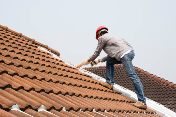 Best Storm Damage Roof Repair  in Whitehall, MI