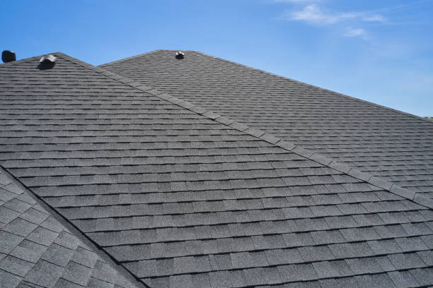 Best Sheet Metal Roofing  in Whitehall, MI